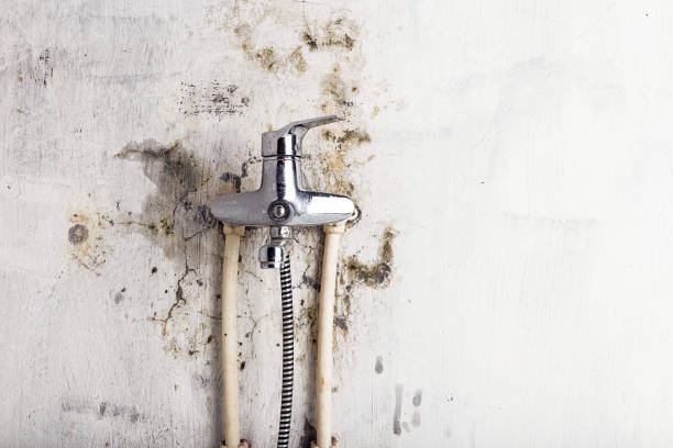 Best Mold Testing  in Farmington, NM